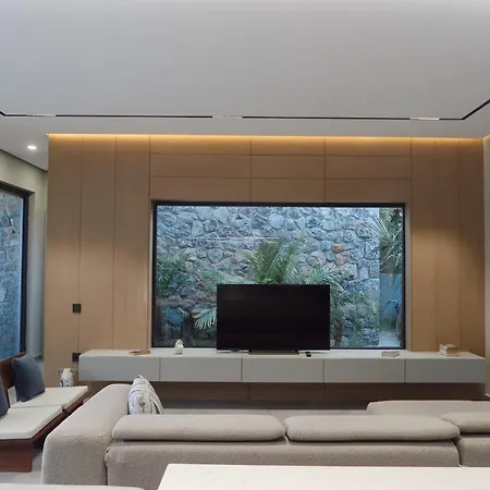 Villa Thelevissihouses *