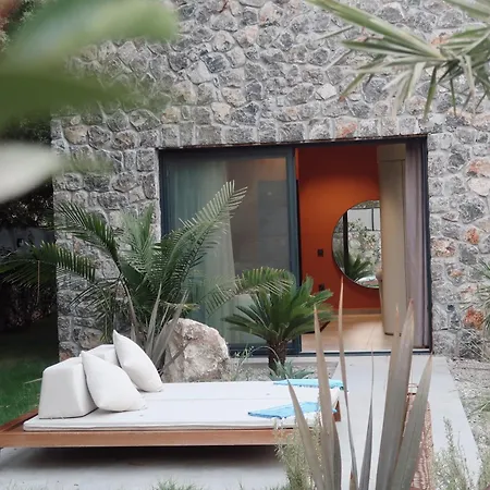 فيلة Thelevissihouses